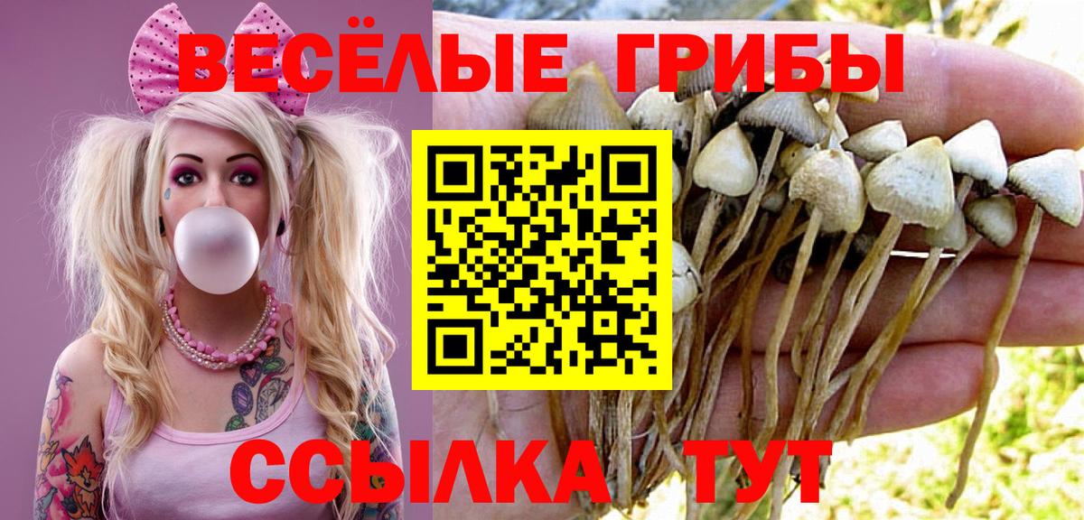 Югорск  купить закладку  Вход с VPN  Псилоцибиновые грибы GOLDEN TEACHER 